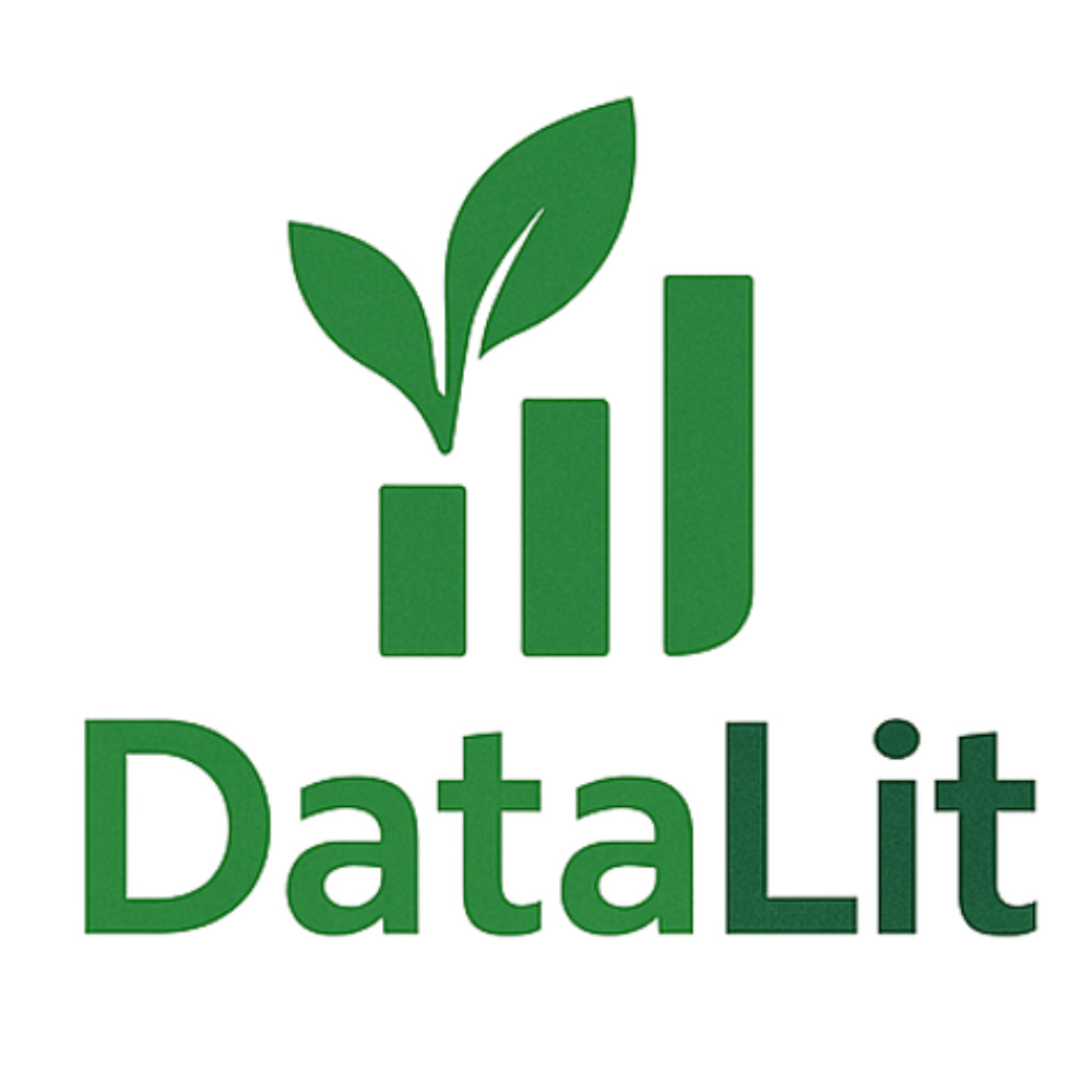 Data lit logo